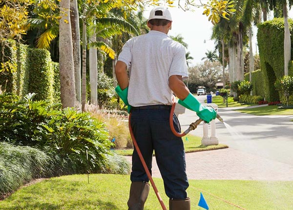 About Hoagland IN Pest Control